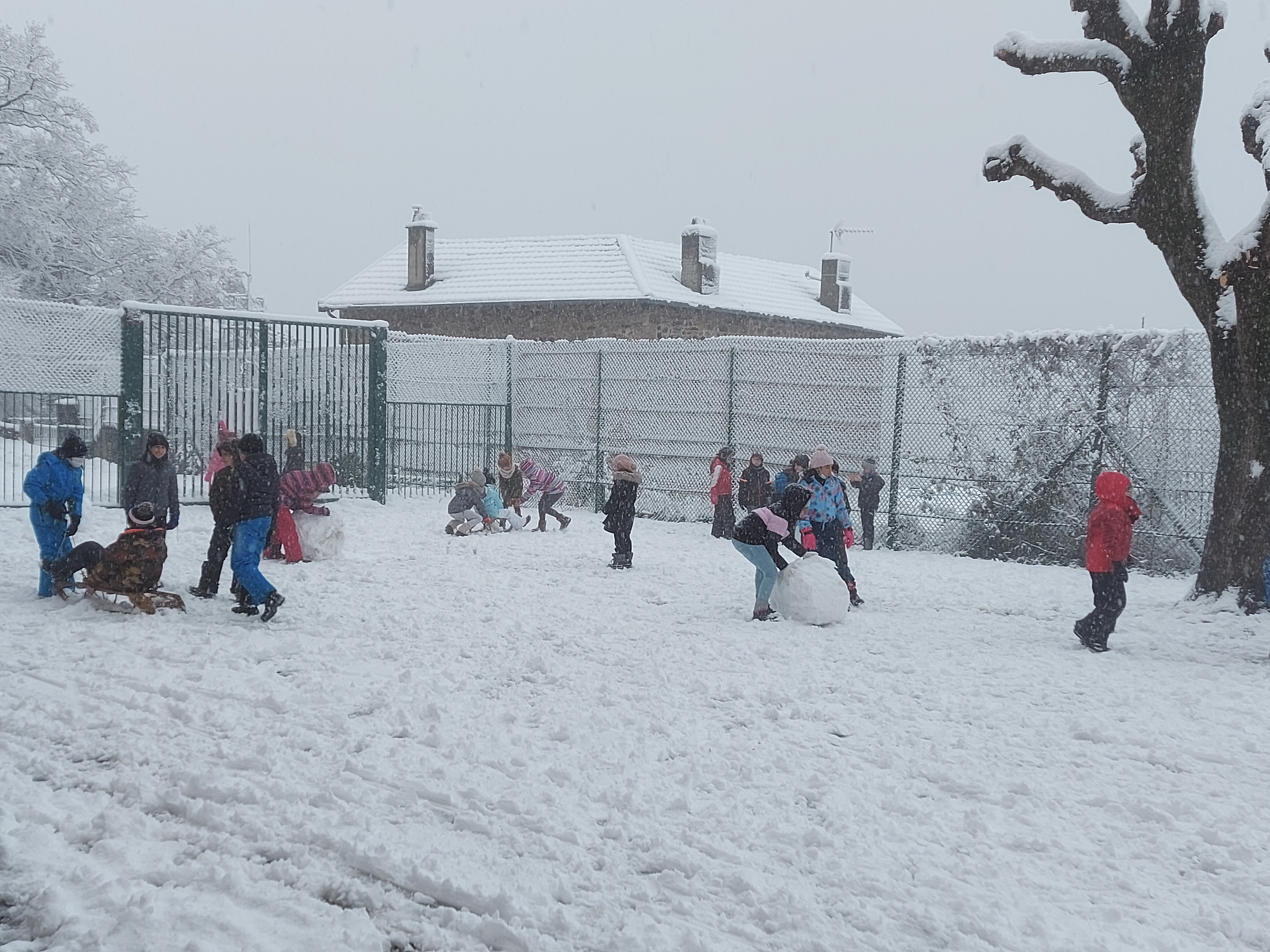 Visuel : Sous la neige !