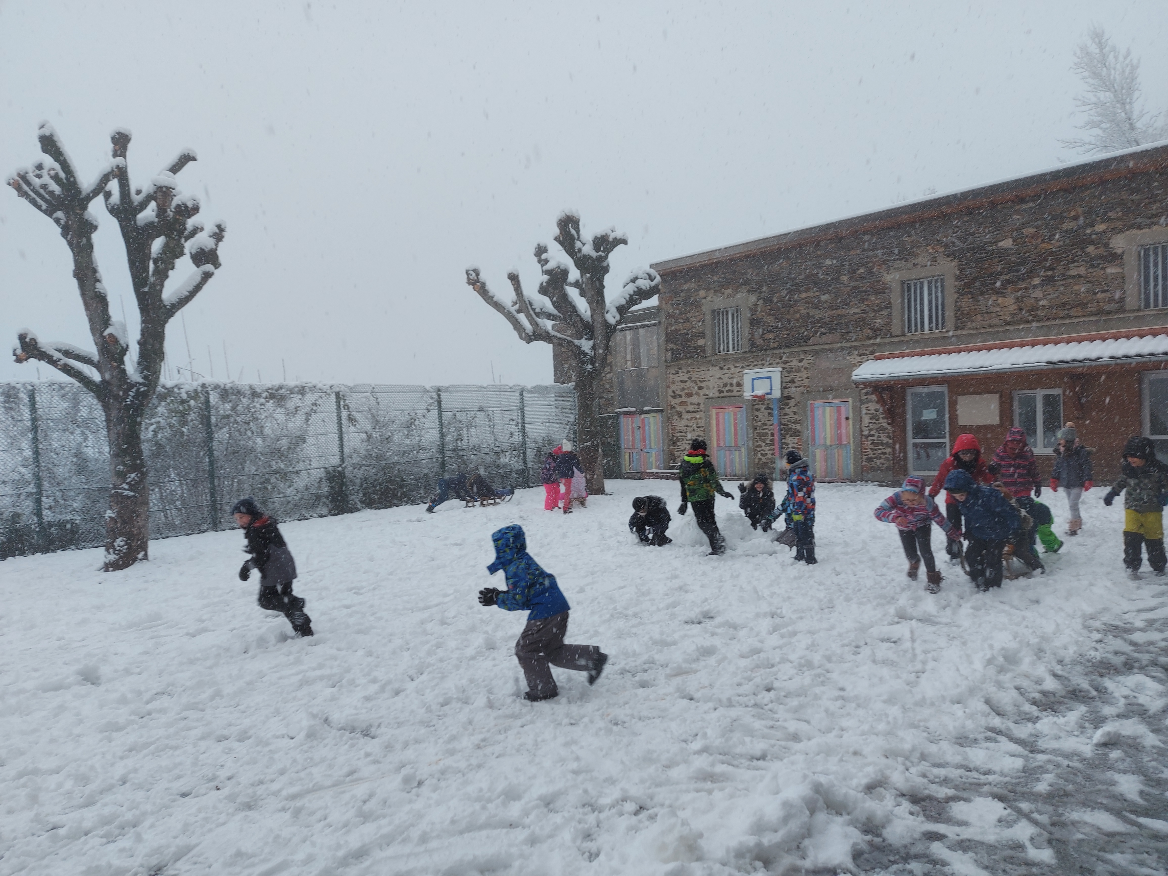 Visuel : Sous la neige !