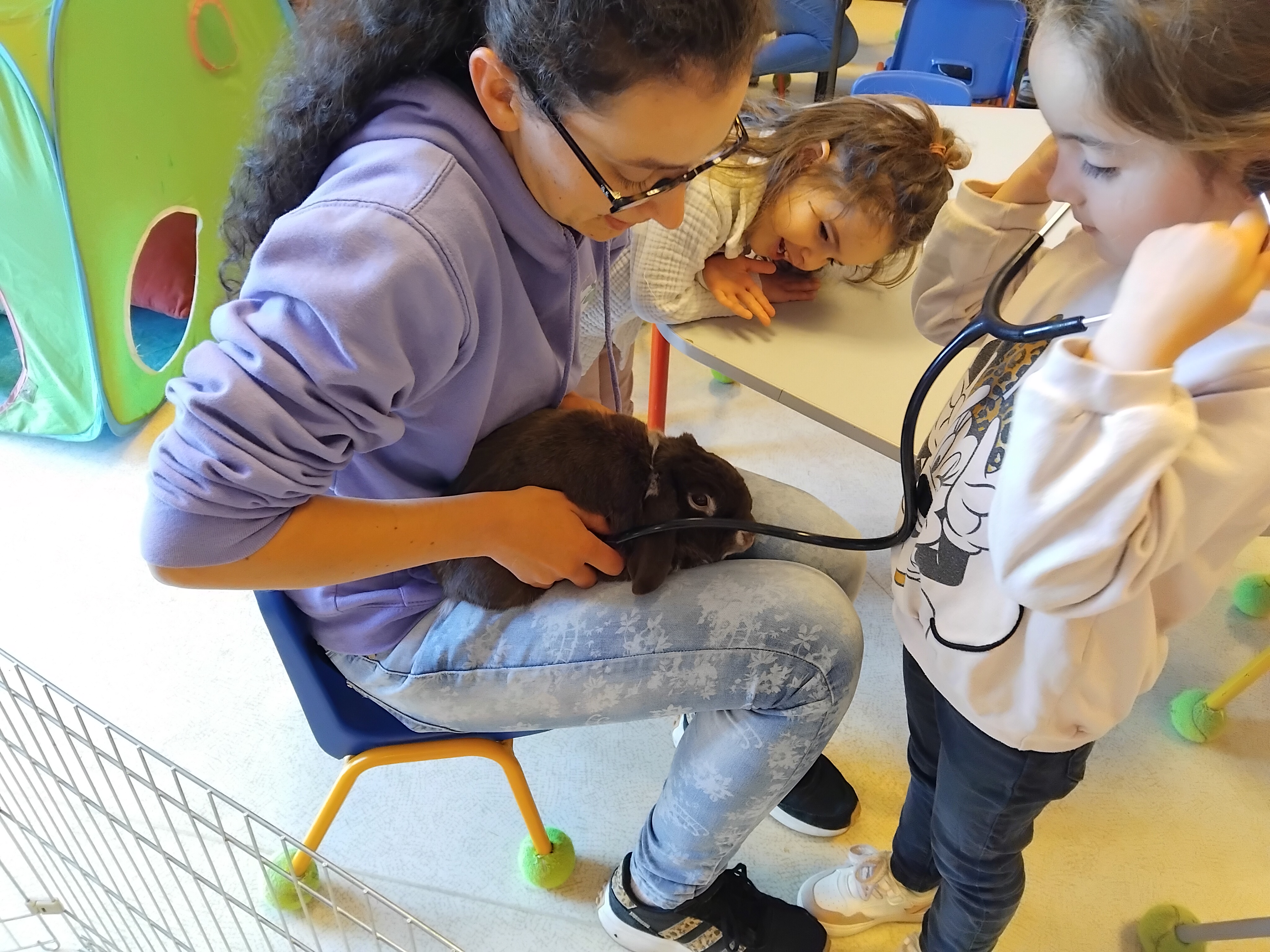 Visuel : Des coliers apprentis vtrinaires