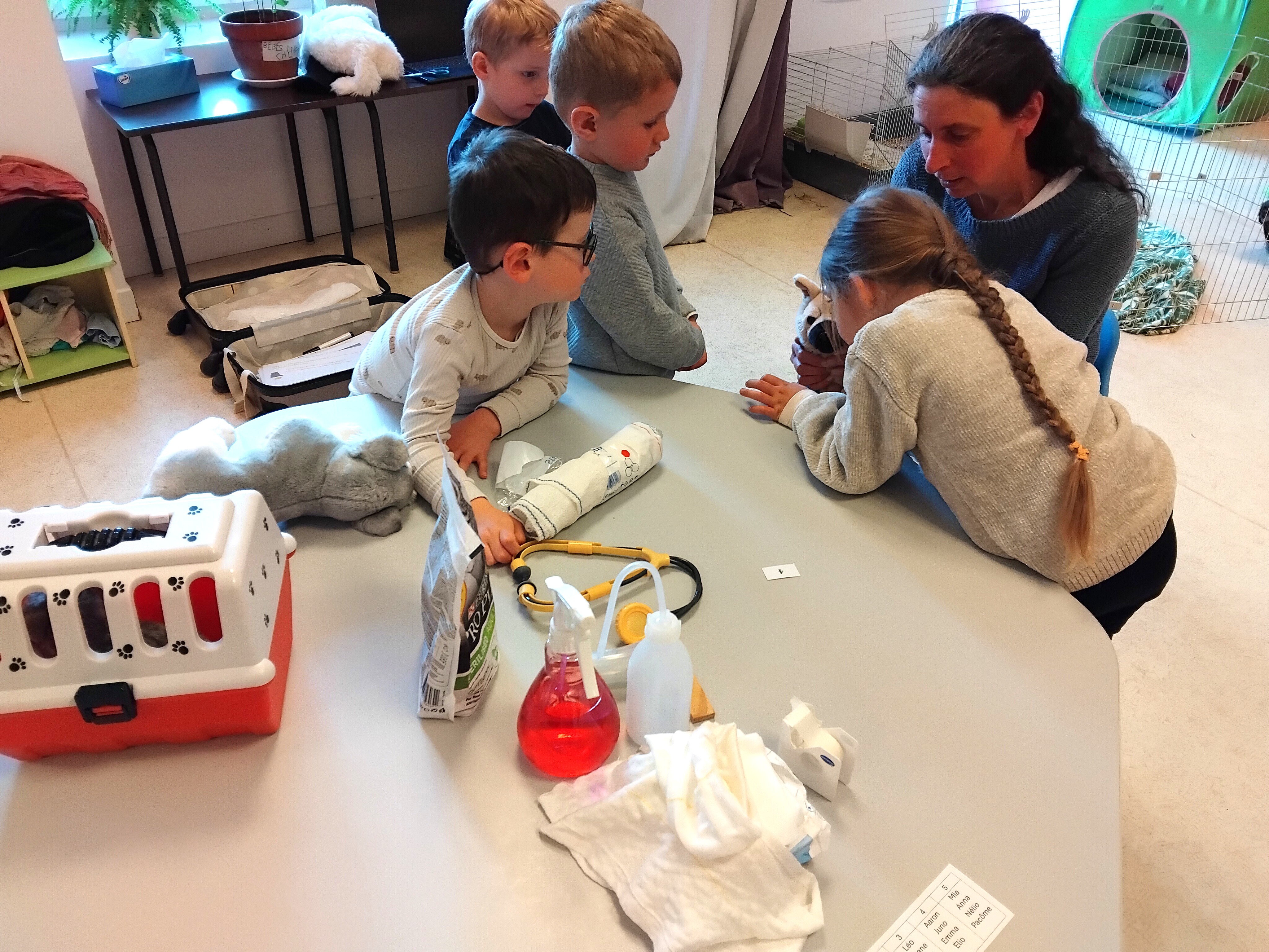 Visuel : Des coliers apprentis vtrinaires