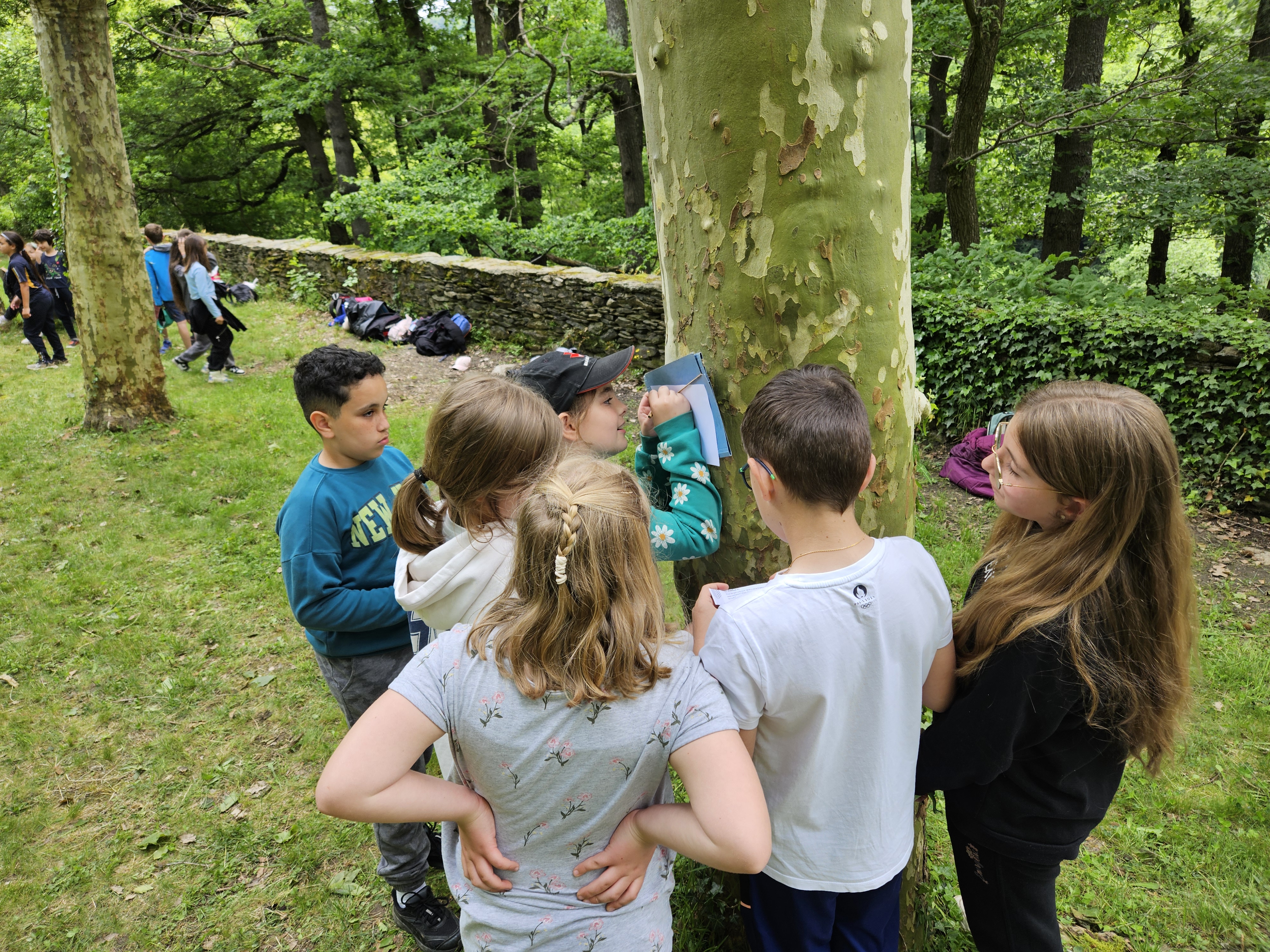 Visuel : Rencontres sportives pour le Printemps de lUGSEL