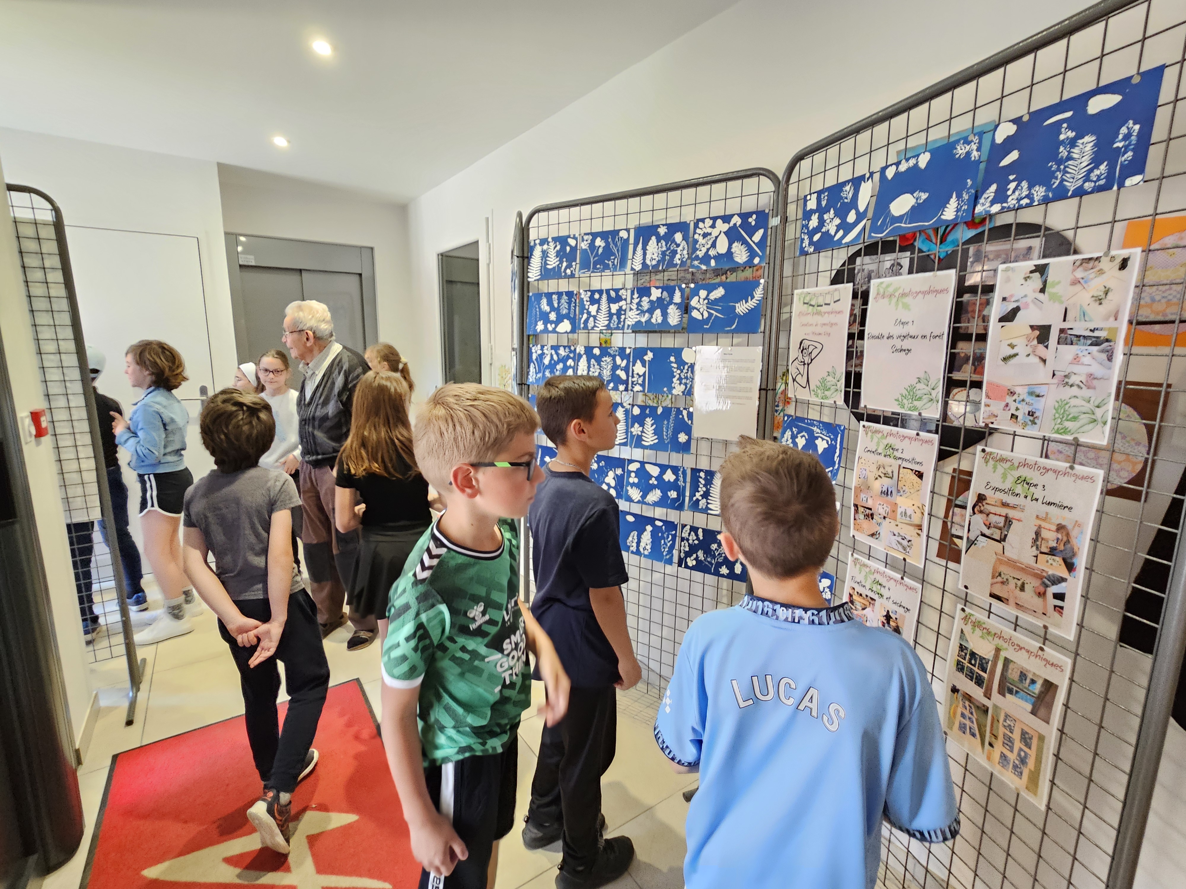 Visuel : CM1-CM2 : Projet photographique Bleu fort