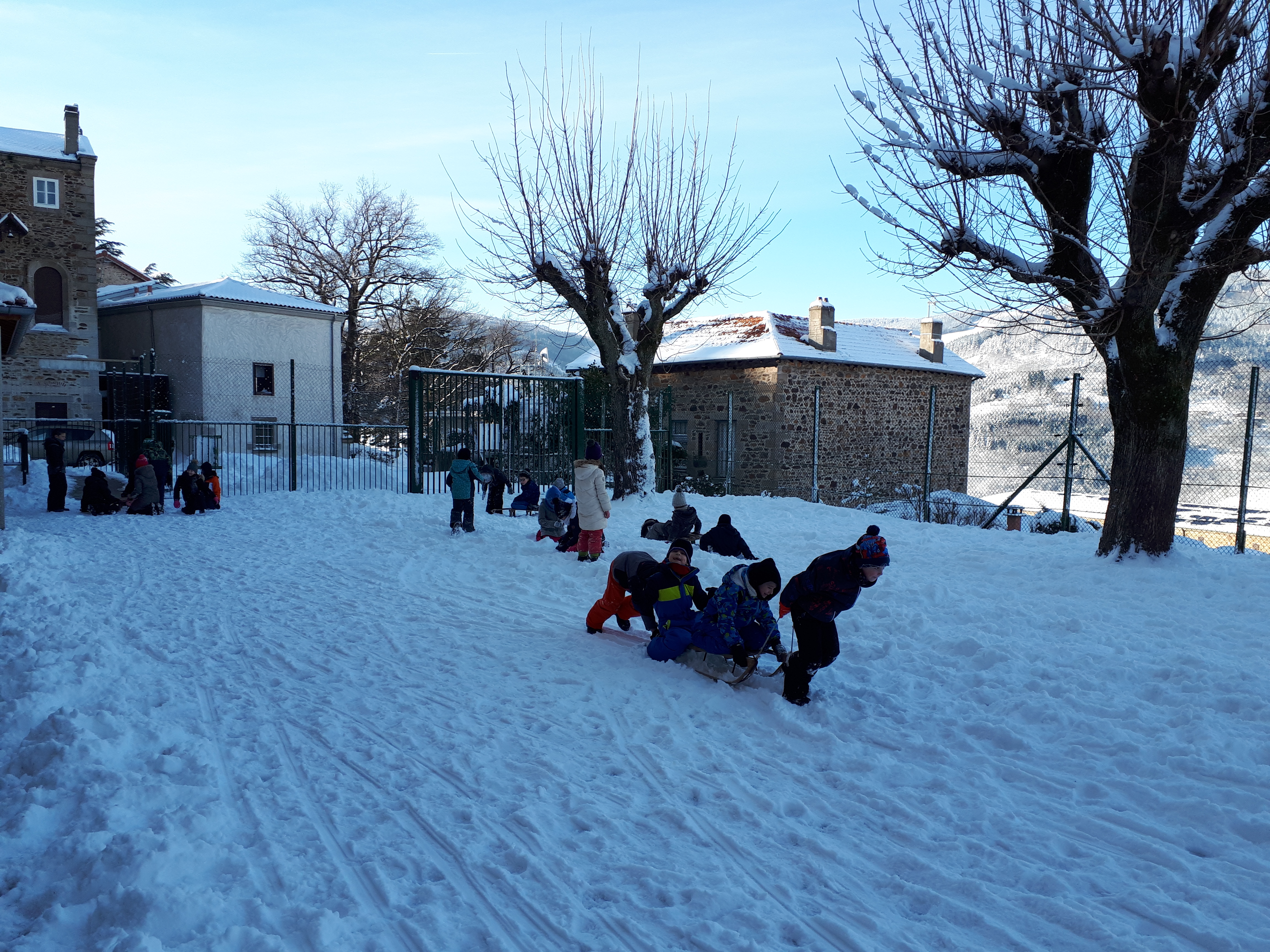 Visuel : Sous la neige !